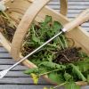 Stainless Steel Dandelion Weeder - part of the Classic Hand Tool range from Burgon & Ball