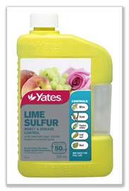 Lime sulphur spray