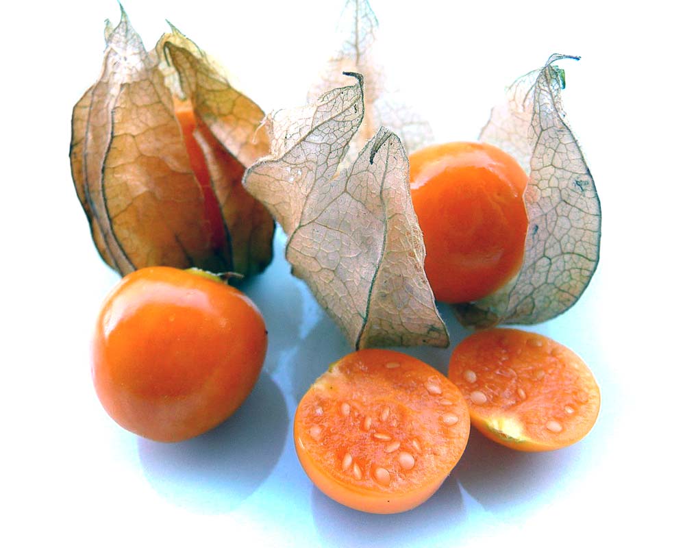 Physalis peruviana - Cape Gooseberry - these tasty berries can be eaten fresh, they also make great jam.  photo by 3268Zauber