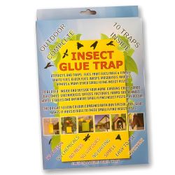 Insect Glue Traps