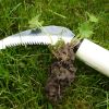 Carbon-steel Lawn Weeding Knife - excellent for removing weeds from the lawn