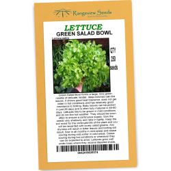 Lettuce Green Salad Bowl - Rangeview Seeds