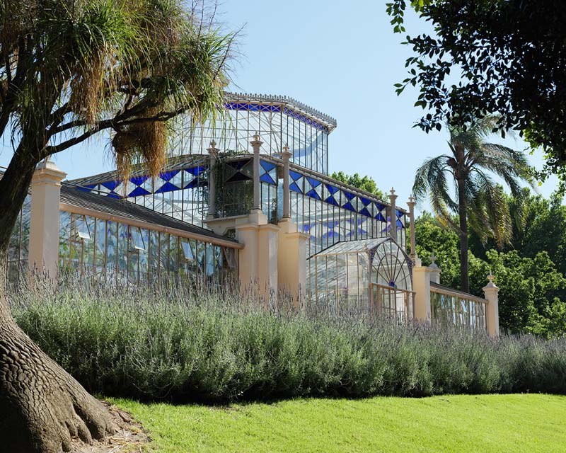 The Palm House - photo supplied by Adelaide Botanic Garden