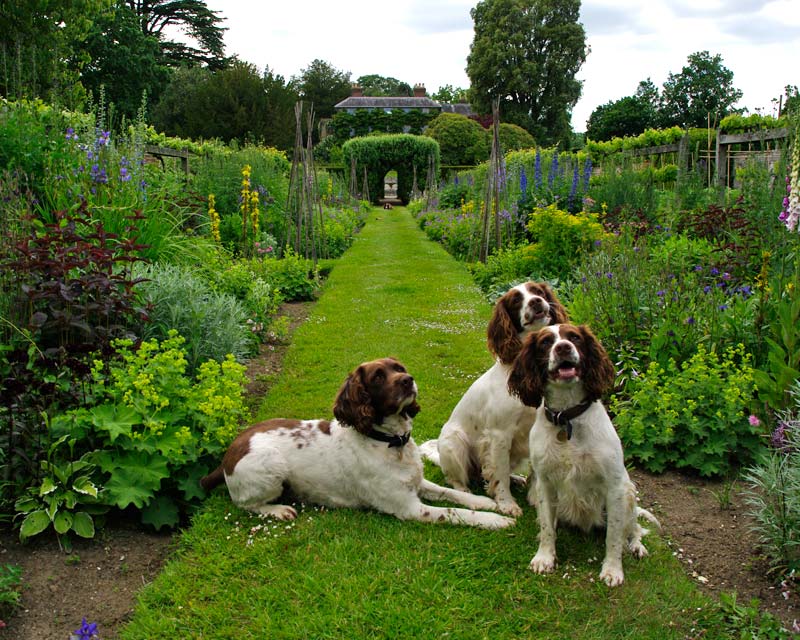 Three enthusiastic undergardeners at Fittleworth House