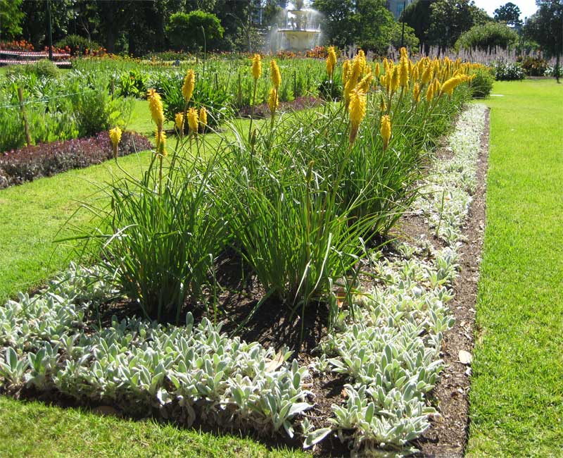 Excellent flower bed displays - Royal Botanic Gardens Melbourne