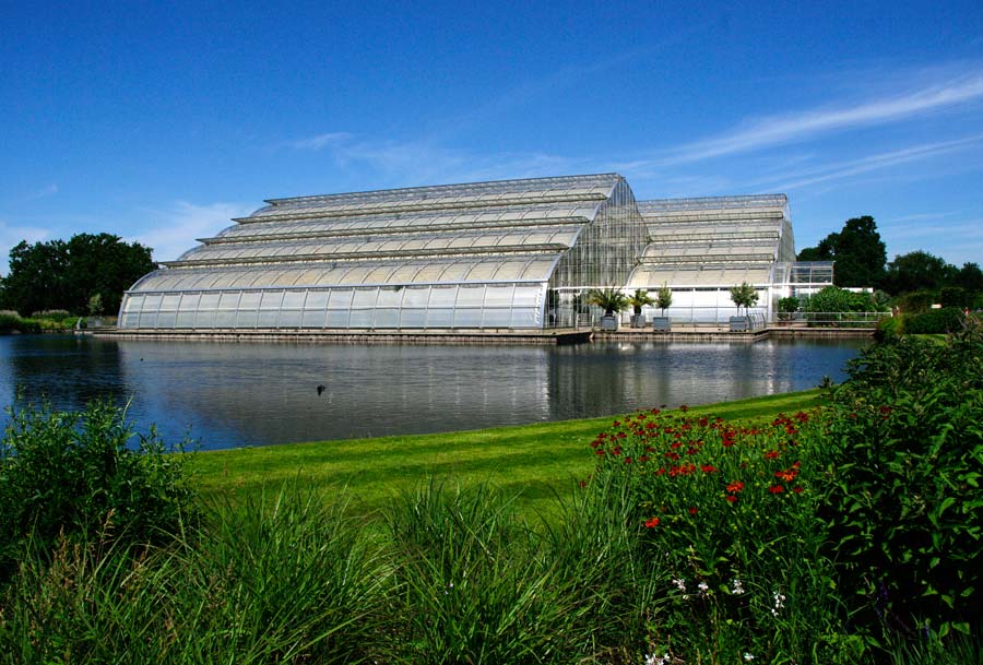 The huge, cathedral-like glasshouse at Wisley.