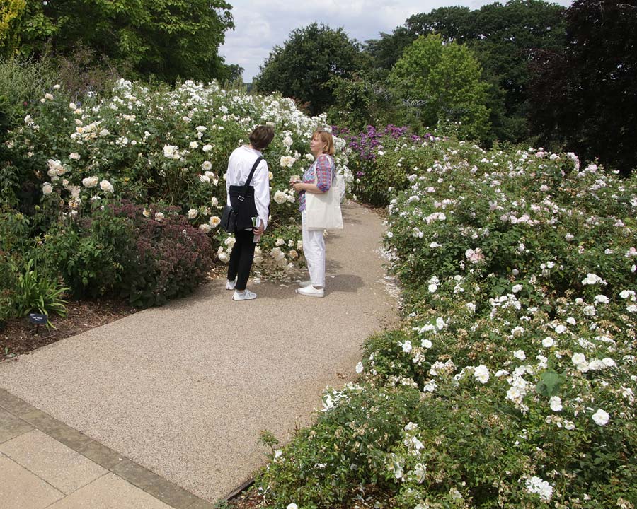 The Rose Garden at Wisley