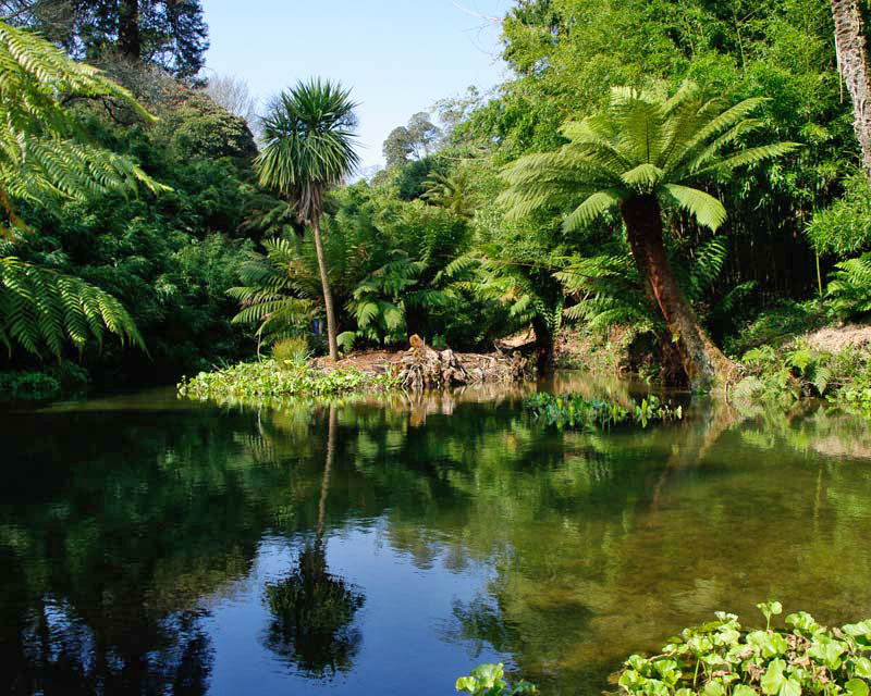 Peace pool at the end of Fern Tree Gully, Lost Gardens of Heligan