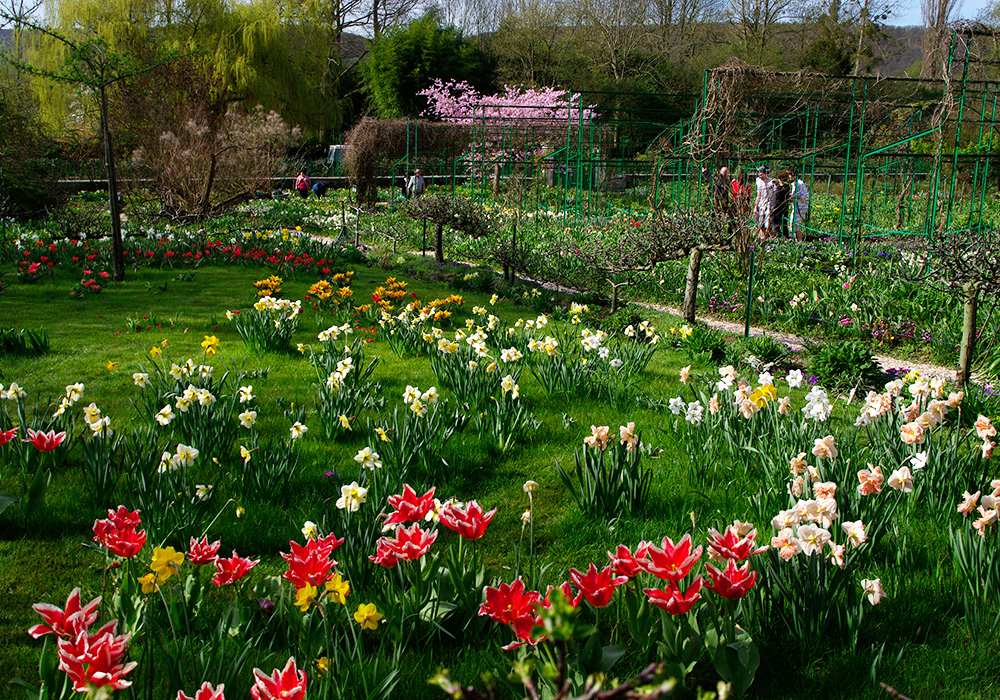 Always artfully planted - Giverny - Monet's Garden