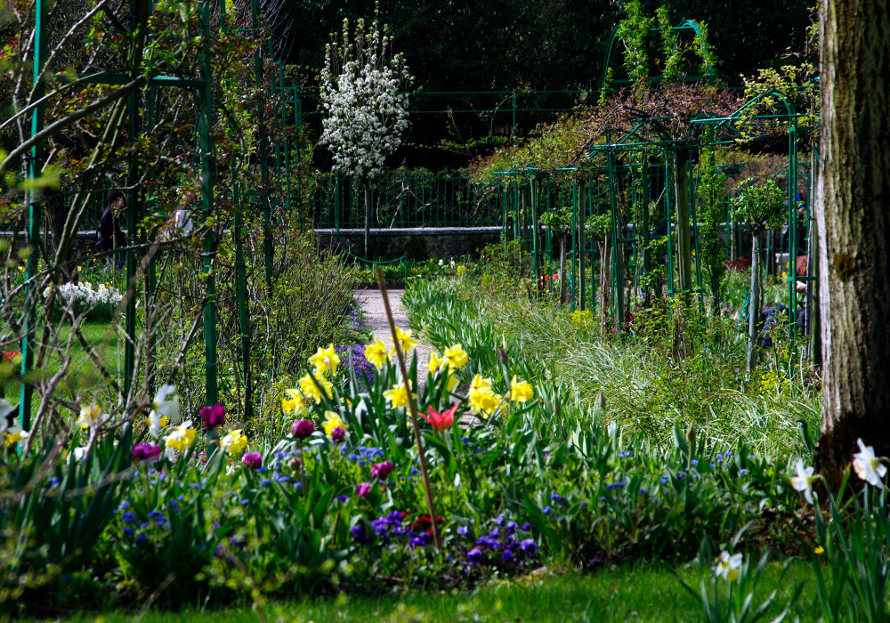 The formal gardens are . . so informal - Giverny - Monet's Garden