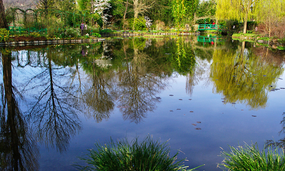 That famous lake - Giverny - Monet's Garden