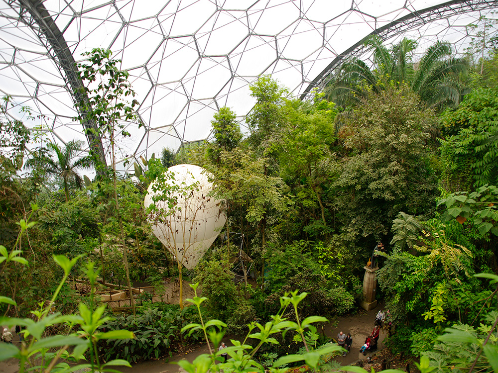The Tropical Biome - Eden Project