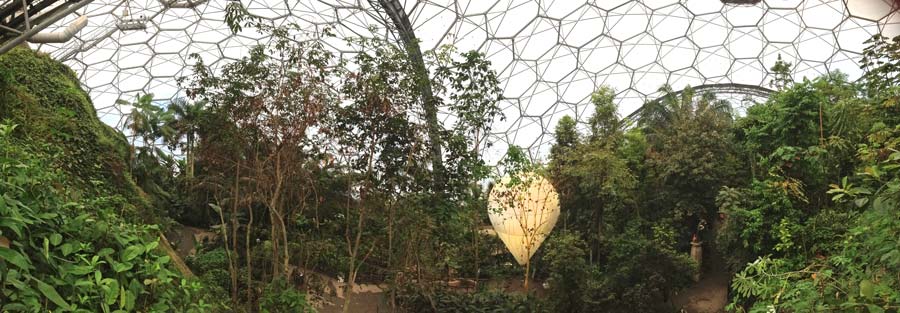 The tropical biome  - Eden Project