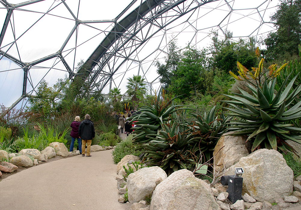 Aloes in the Mediterranean Biome - Eden Project