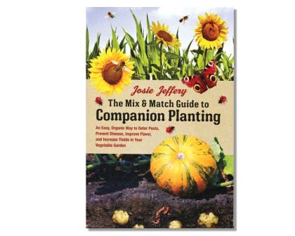 Companion Planting of Vegies