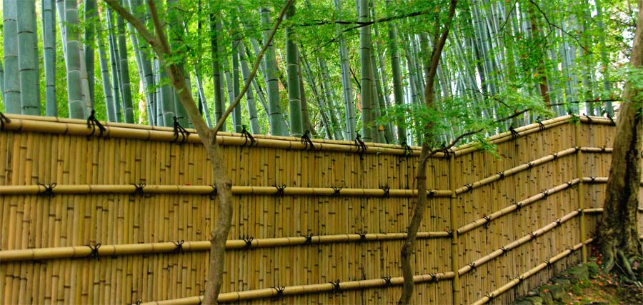 Gingkaku Bamboo Fence