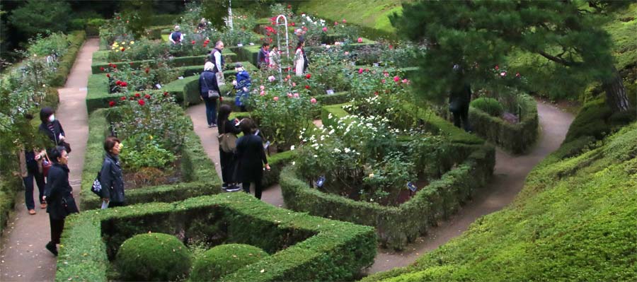 Kyu Furukawa Rose Garden