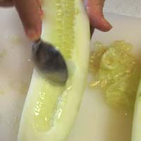 Cucumber scrape out pips