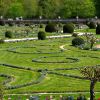 Santolina chamaecyparissus - as used for low spiralling motifs within the lawns in Diane de Poitier's garden at Chateau Chenonceau, France.