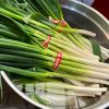 Allium cepa, Shallots, harvested while still young and sweeter
