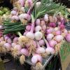 Allium cepa - seen at Nice Market, France