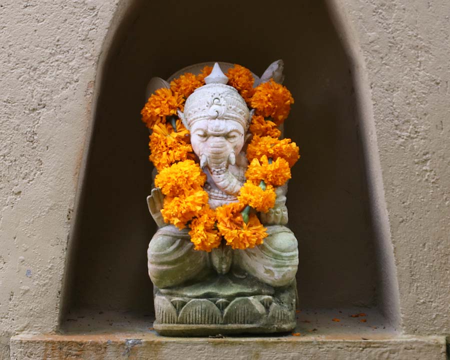 Tagetes erecta - paying homage to Ganesh