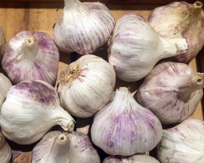 Garlic - each bulb has many cloves - the foundation of so many cooking styles
