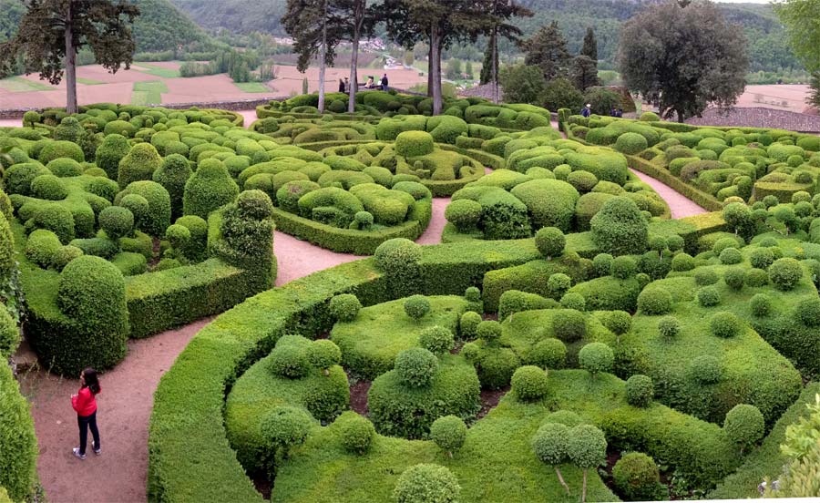 But the ultimate use of Buxus sempervirens has to be at Chateau Marqueyssac in the Dordogne, France