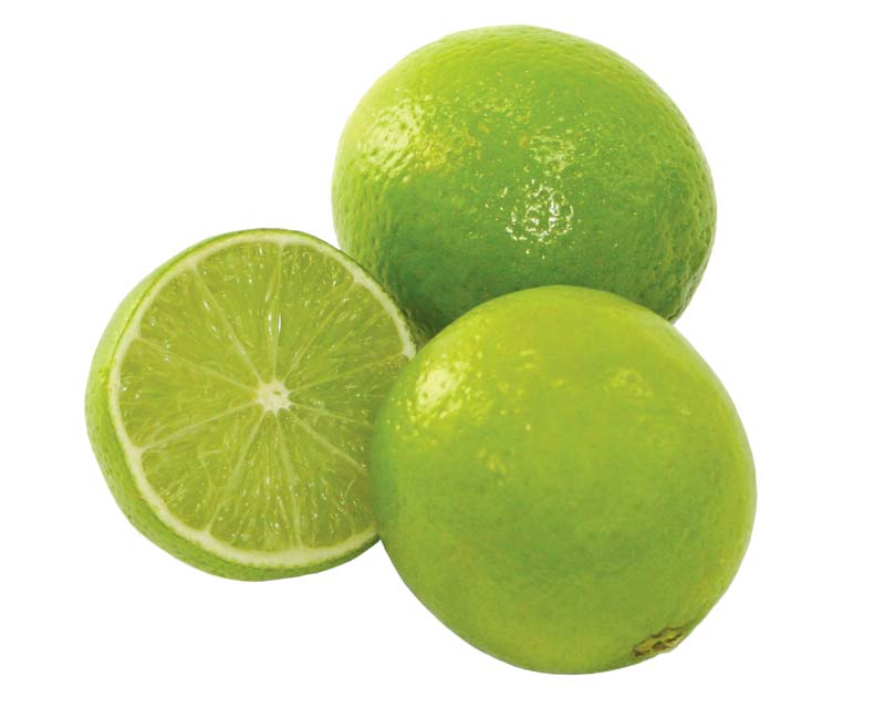 Citrus aurantifolia - the Common Lime