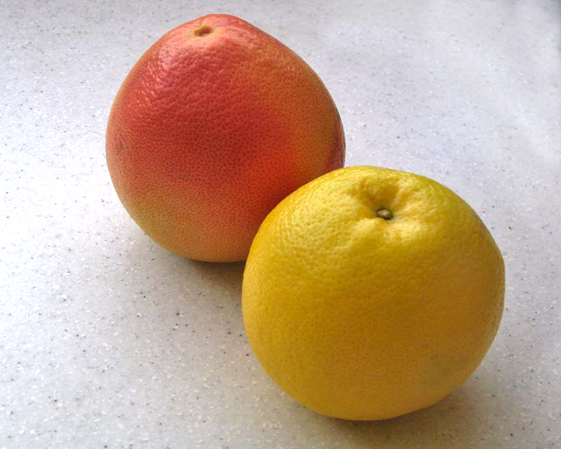 Citrus x Paradisi - Grapefruit The yellow variety and Ruby Red.
