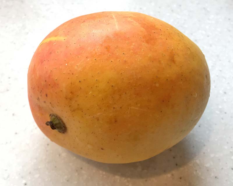 Fruit of Mangifera indica - Mango - this variety is Kensington