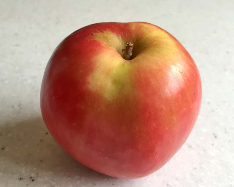 Wonderful eating apple - Jonathon - Malus x domestica 'Jonathon'
