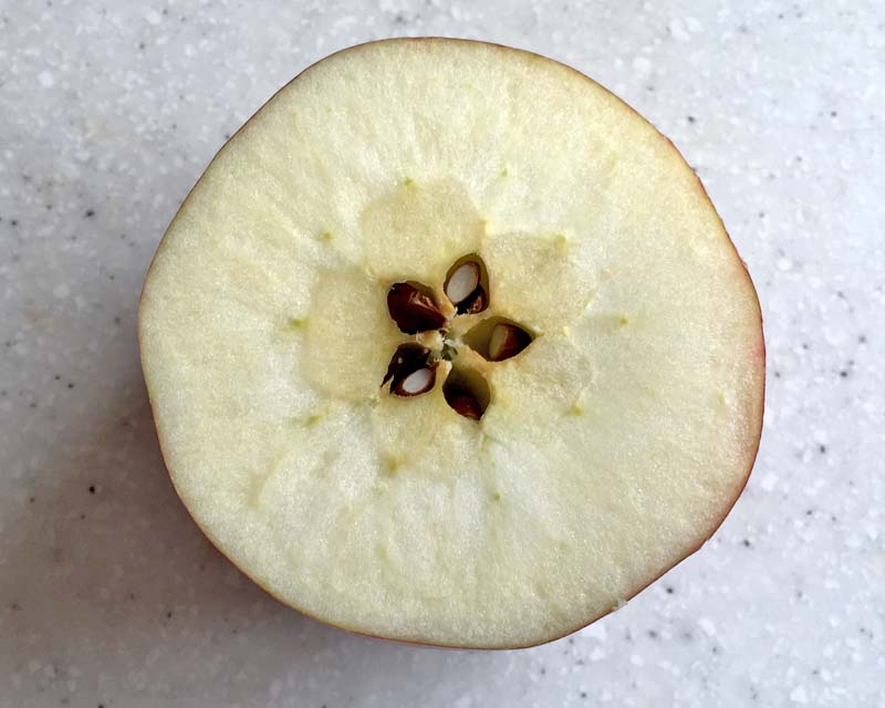 Cross section of Jonathon apple showing the five ovary chambers each containing seeds surrounded by sweet edible flesh