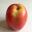 Wonderful eating apple - Jonathon - Malus x domestica 'Jonathon'