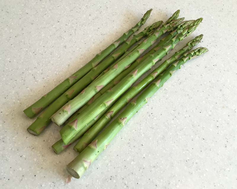 Asparagus officinalis - the young spear-like stems make a delicious vegetable