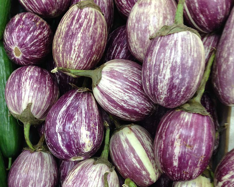 Solanum melongena, the aubergine.  This is Edirne variety from Turkey - very tasty but thicker skins.
