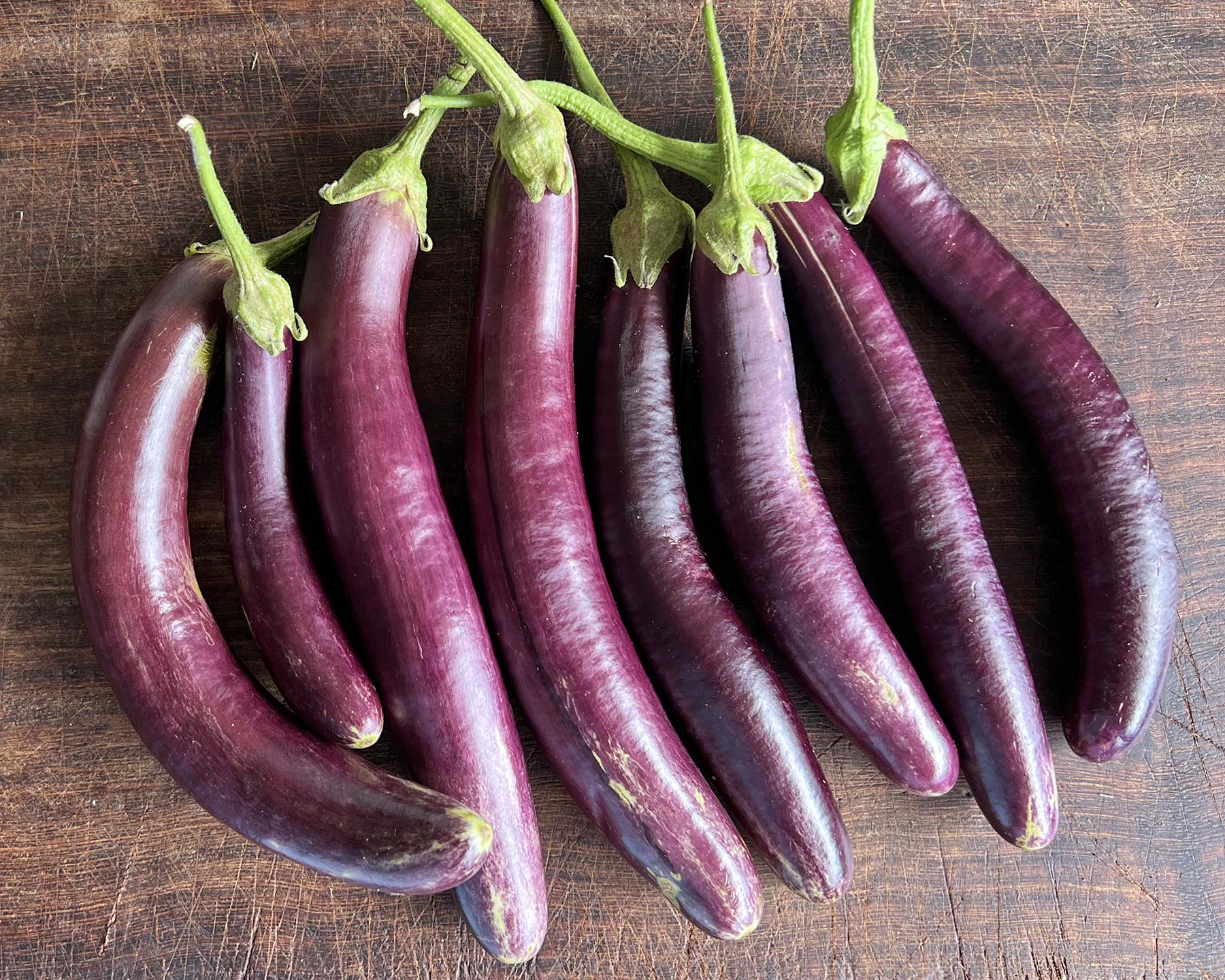 Solanum melongena 'Long Purple'