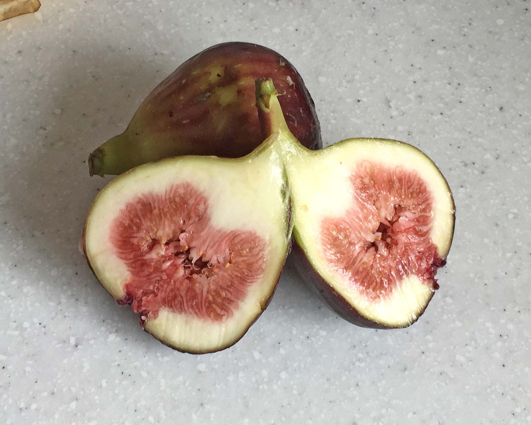 Common Fig - fresh figs are often served with cheese.
