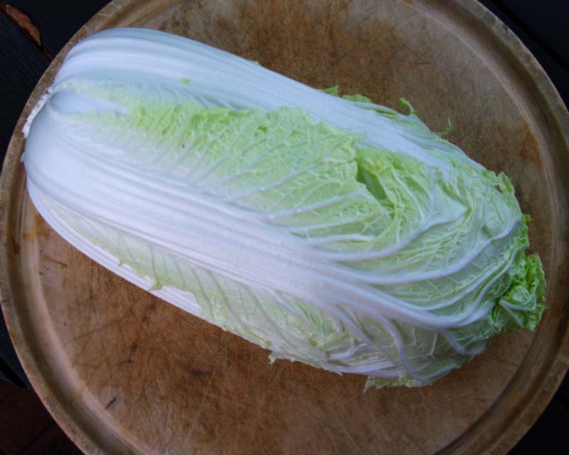 Brassica rapa pekinensis - Chinese Cabbage