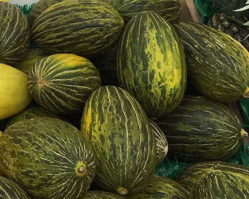 Cucumis Melo Indorus Group - this is the Sapo Melon (translates as Toad skin melon) but very tasty. Sometimes known as the Santa Claus Melon