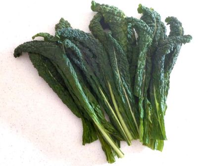 Brassica oleracea 'Lacinato' - Tuscan Kale