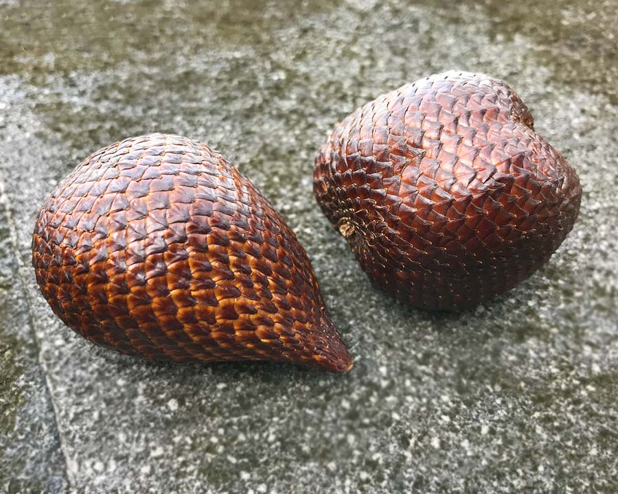 Salacca zalacca, Snakefruit