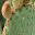 Opuntia rufida