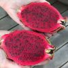 Hylocereus undatus - Dragon fruit - Red flesh speckled with black seeds.  Some varieties have white flesh