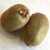 Actinidia deliciosa - the chinese gooseberry or kiwifruit