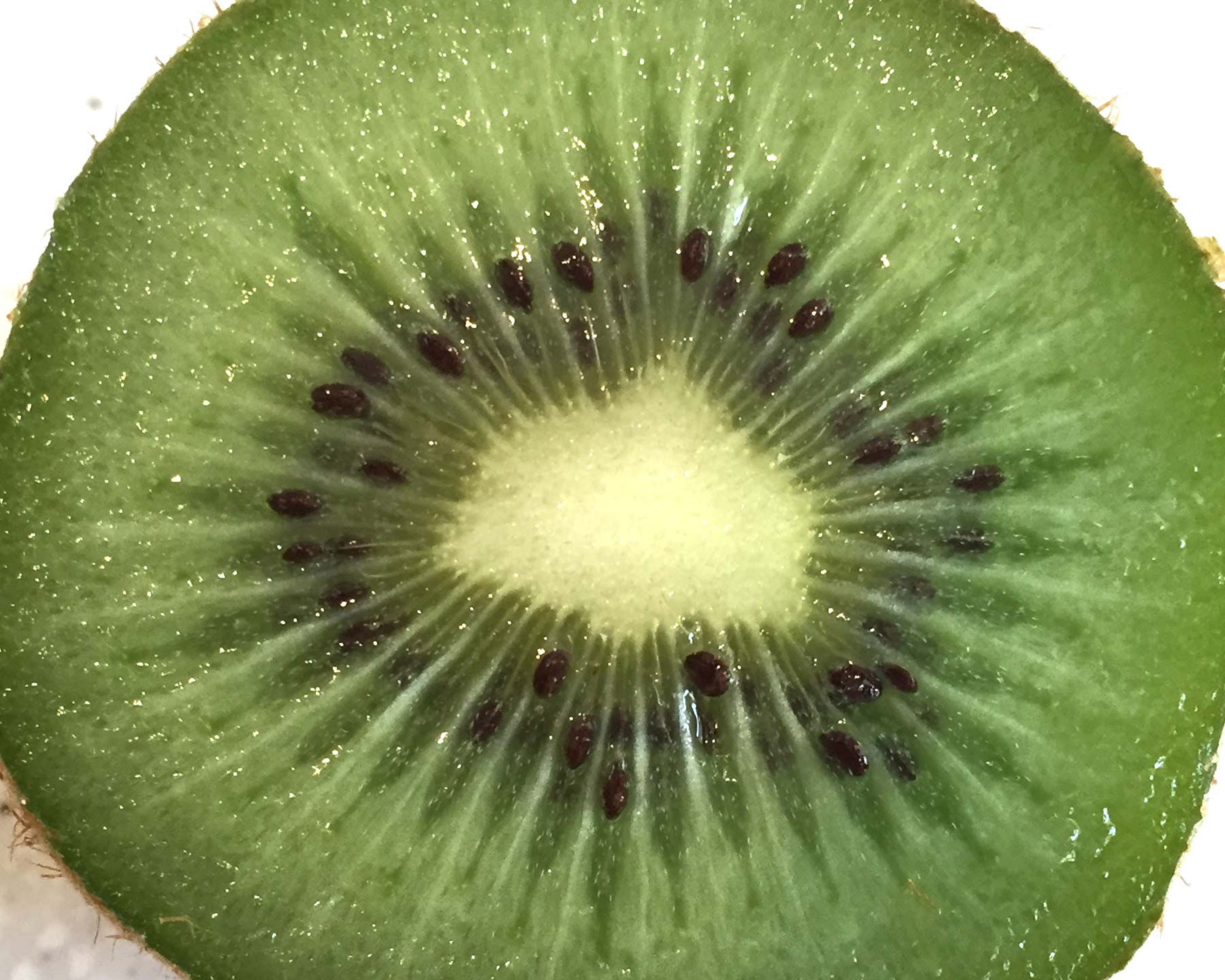 The green flesh and black seeds of Kiwi Fruit