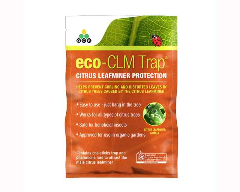Eco-CLM Trap (Citrus Leafminer)