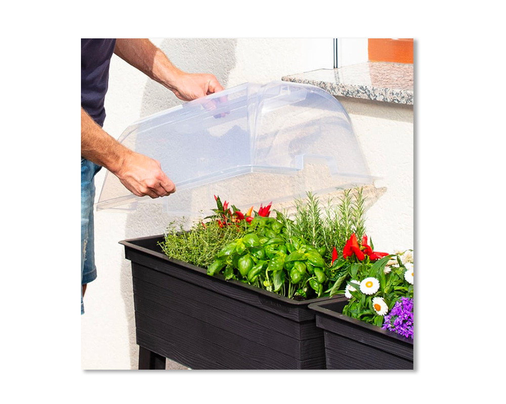Urban Raised Planter and Cloche - Cloche is sturdy and easy to take on and off