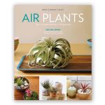 Air Plants - the Curious world of Tillandsias
