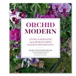 Modern Orchid - Marc Hachadourian